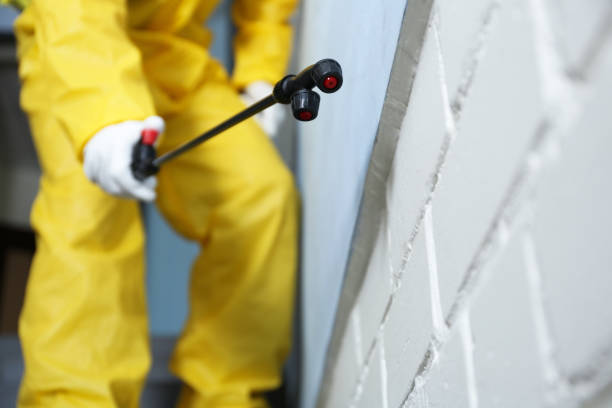 Best Pest Prevention Services  in Huntsville, AR